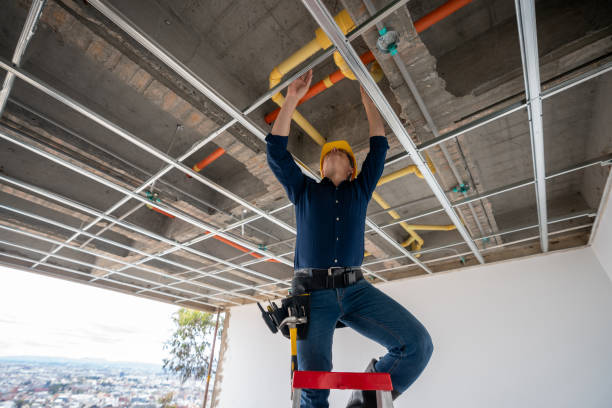 Best Commercial Plumbing Services  in Lake St Louis, MO